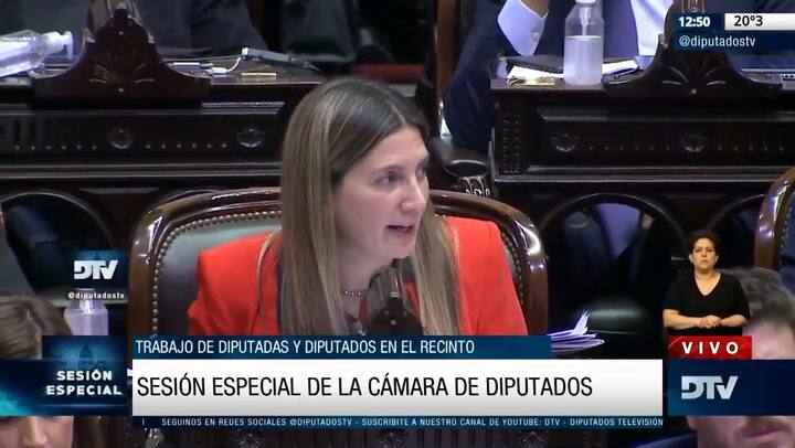 Silvia Lospennato en Sesiones de diputados por la boleta unica