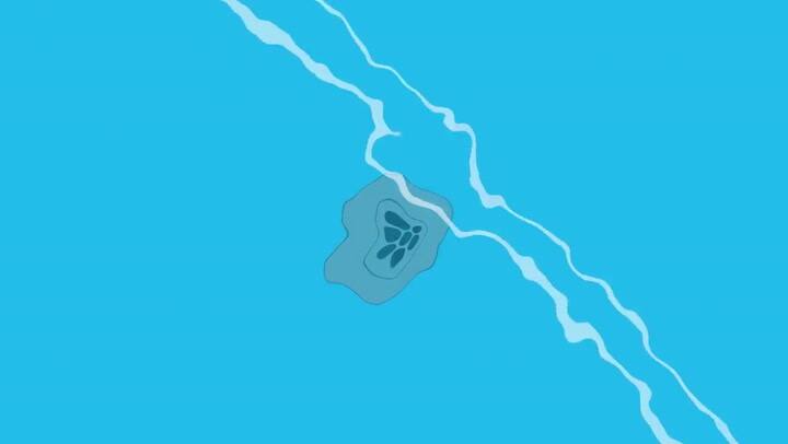 El desafío 2017/2018 del First Lego League