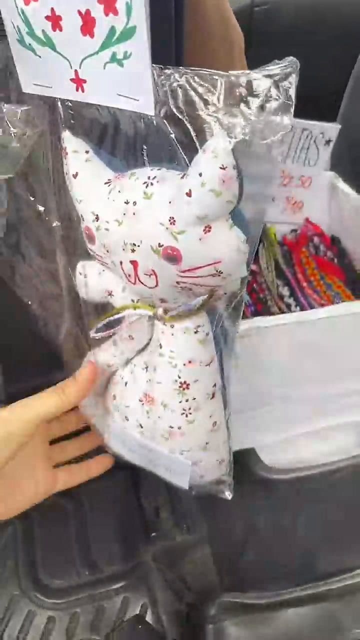 El taxista se volvió viral en TikTok