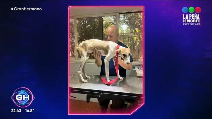 La historia de Arturo en Gran Hermano