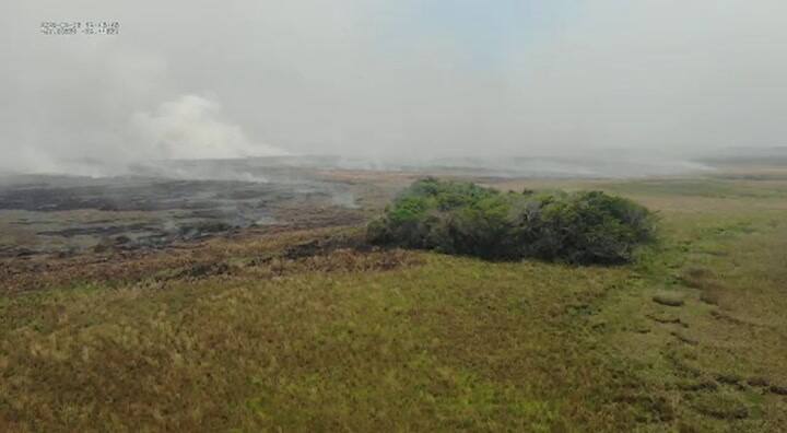 El avance del fuego en el Portal Carambolas, zona de Puerto Juli Cué, en el Parqué Ibera