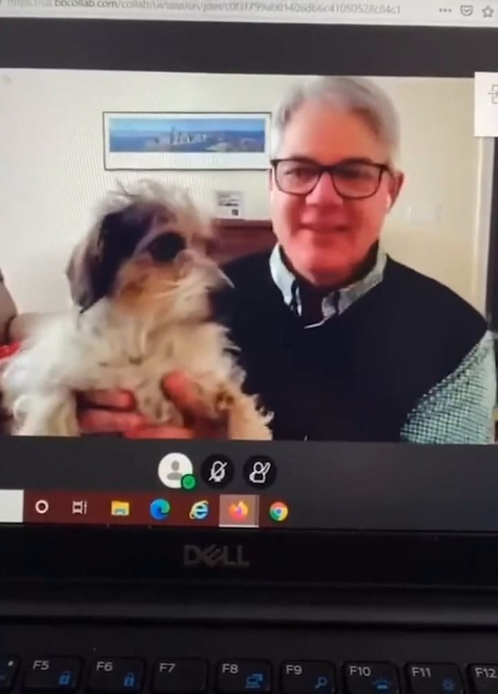 Un profesor mostró a sus perros en una clase por Zoom y se hizo viral