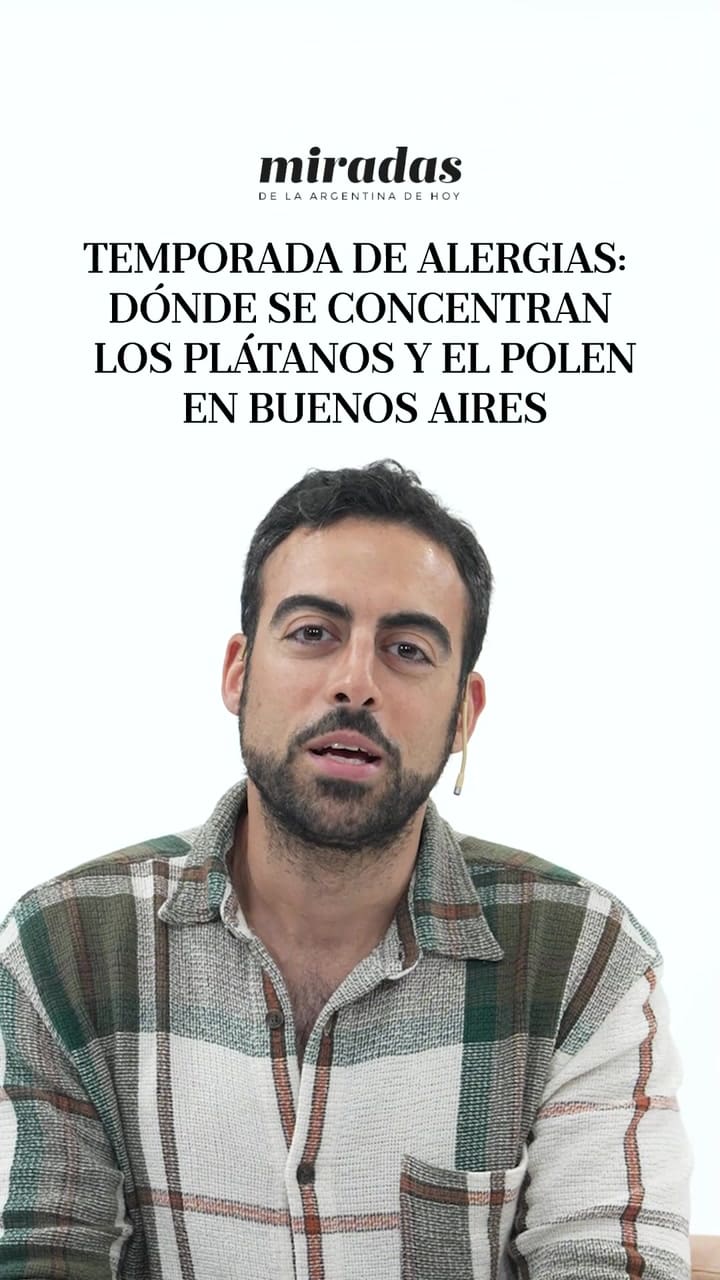 Se viene la temporada de alergias, ¿Cuáles son las comunas con más plátanos y qué avenidas porteñas funcionan como grandes corredores de polen?