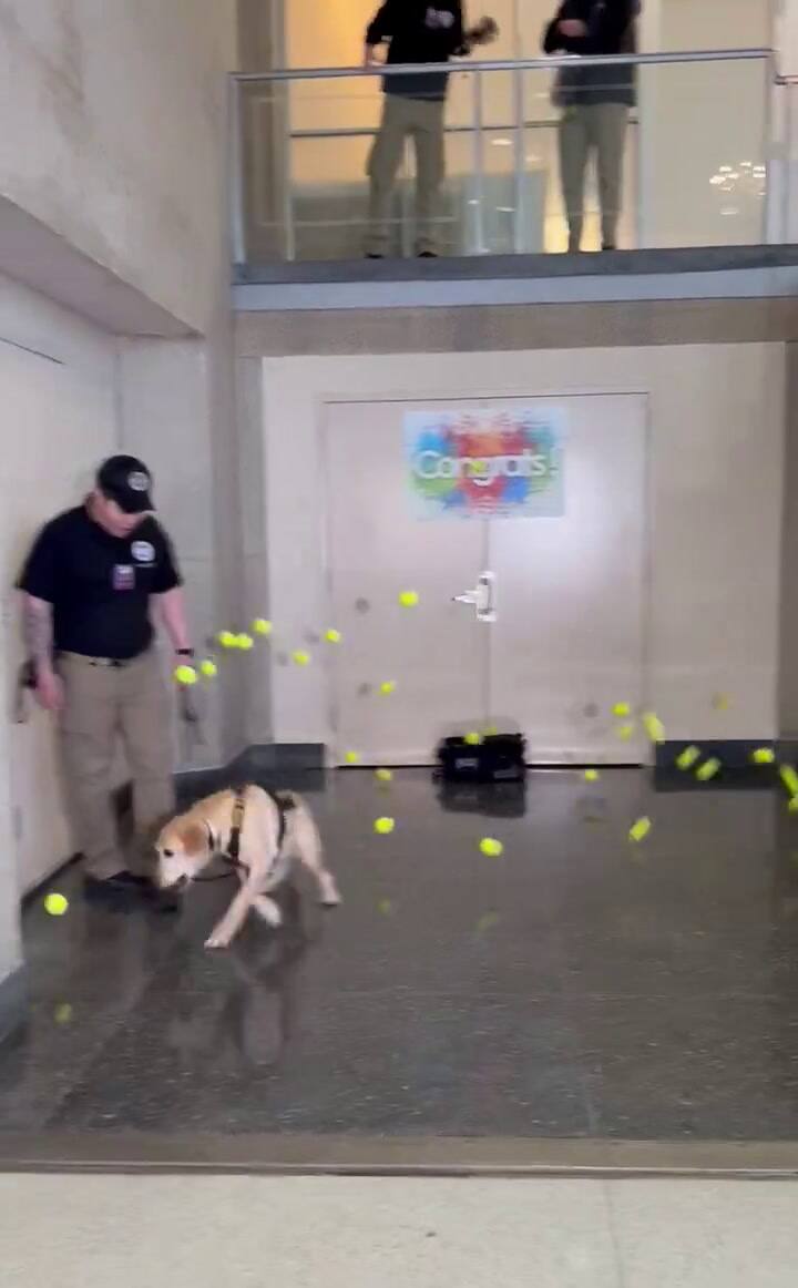 La Sorpresa Que Le Hicieron Al Perro Messi En Su úLtimo Día