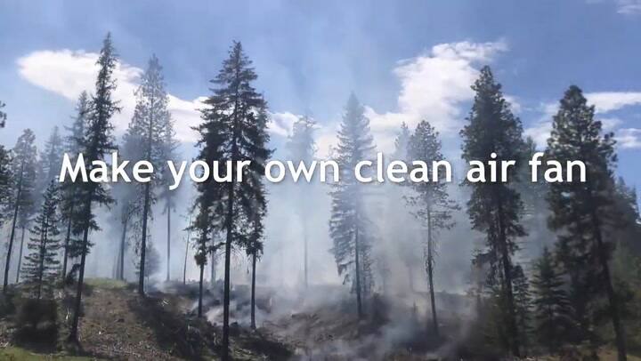 Cómo Elegir Un Purificador De Aire Para El Hogar