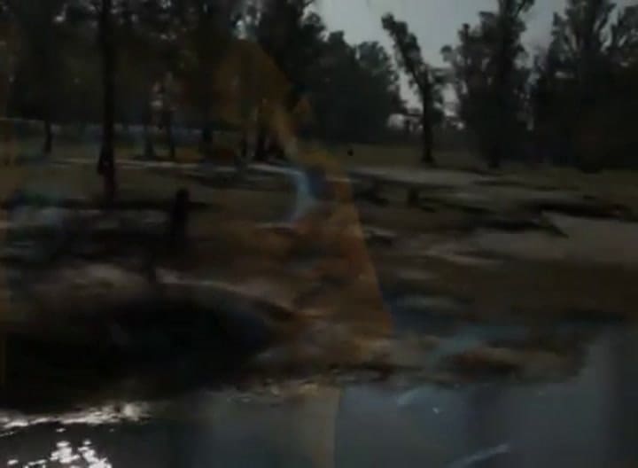 Amar después de amar