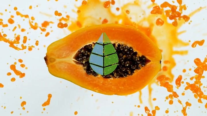 El kiwi ya no es la fruta con más colágeno: el alimento de verano que lo superó