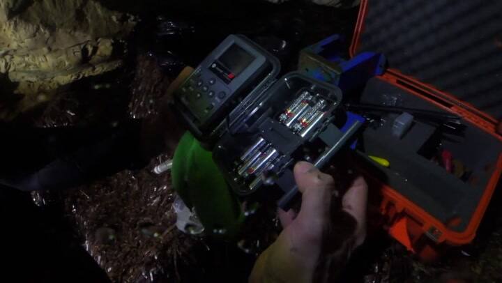 El desarrollo inmobiliario amenaza focas monje en Chipre - Fuente: AFP