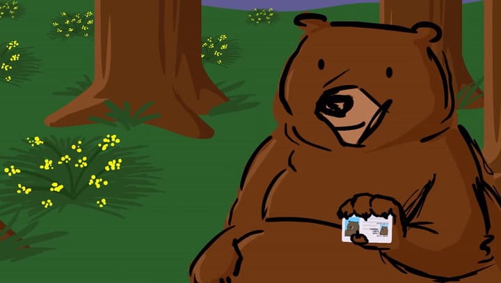 Así se puede tramitar la identificación Real ID en Washington