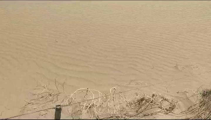 Drama en el extremo sur bonaerense