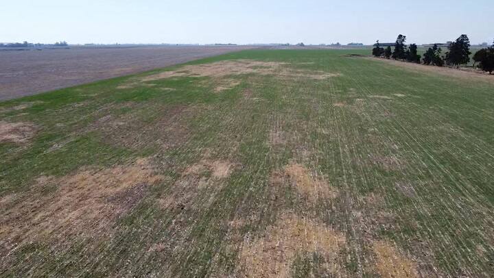 Bigand desde el aire