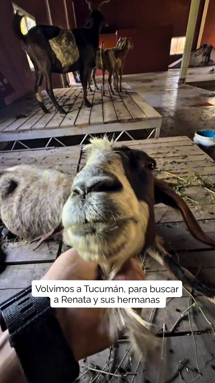 Fernando muestra todo el tratamiento de Renata en las redes sociales