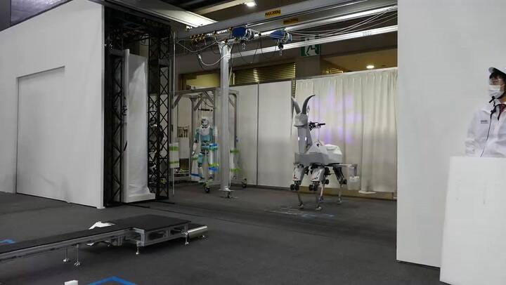 La historia de cómo se creó la cabra robot que permite transportar personas