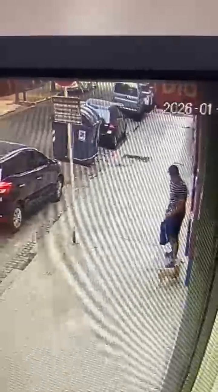 GIF Búsqueda desesperada: le robaron a su perro en Belgrano y lo recuperó en Retiro