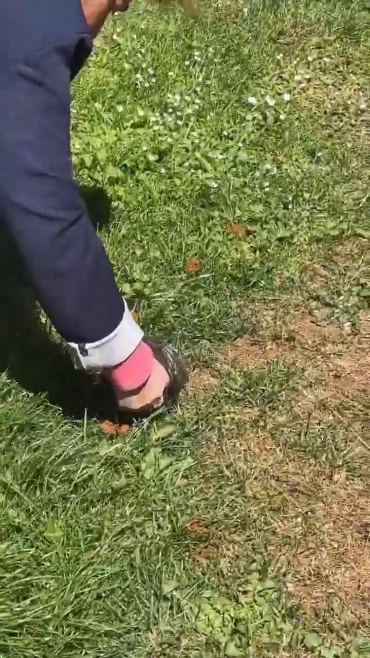 Filmó a su empleada doméstica en una incómoda situación y la lapidaron en las redes