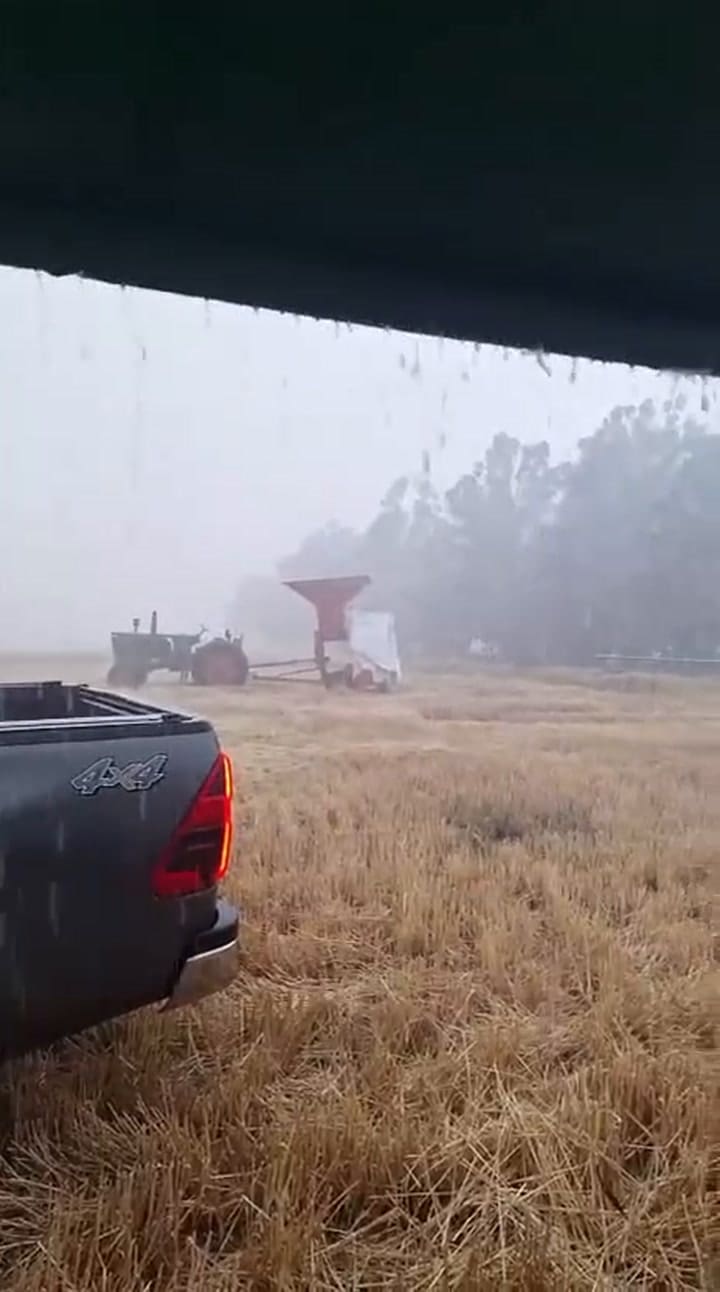 Así cayó el granizo en el lote de Bernardo Vassolo