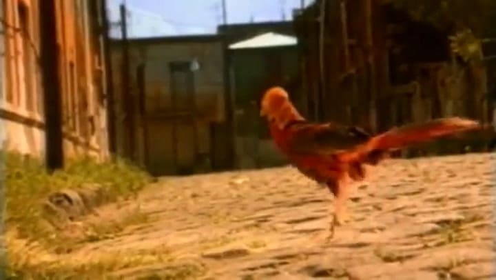 Babasónicos - Cómo eran las cosas