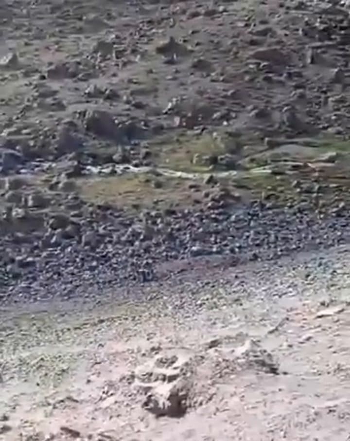 Whatsapp Video 2024-12-04 At 02.32.33 (Online-video-cutter.com) (1)