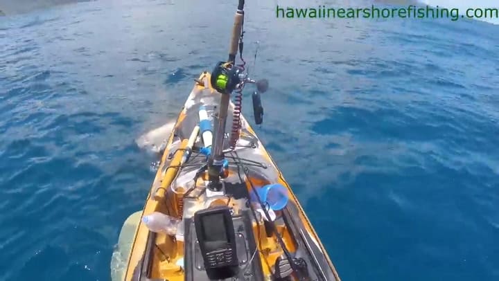 Grabó el momento en que un tiburón mordió su kayak