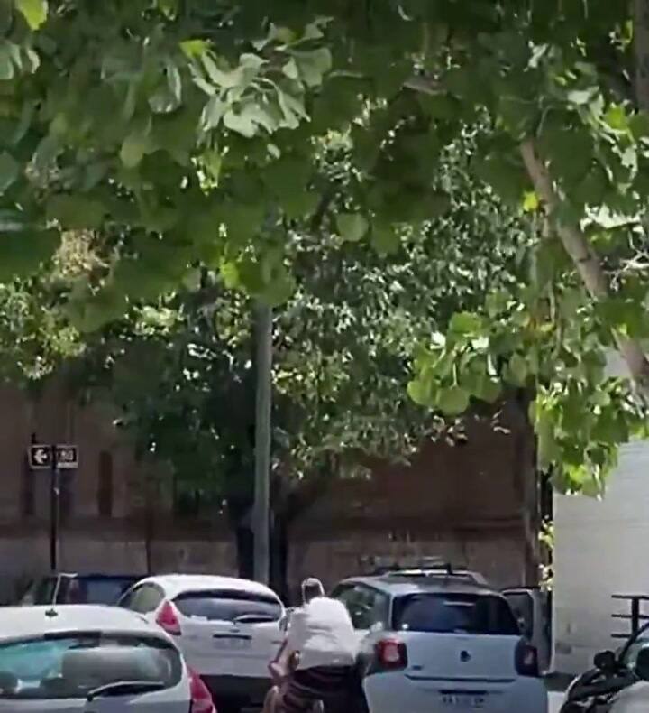 La mujer intentó colgarse del auto para evitar el robo