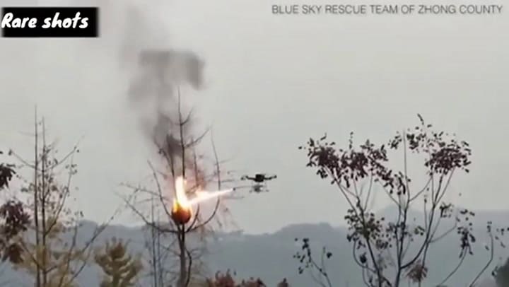 En una aldea de China, combaten a los avispones asesinos usando drones lanzallamas