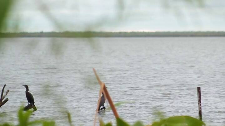 El trazado del río Bermejo que inspiró un trabajo de diseño sobre el Impenetrable
