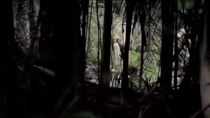 “Las ruinas” - Tráiler