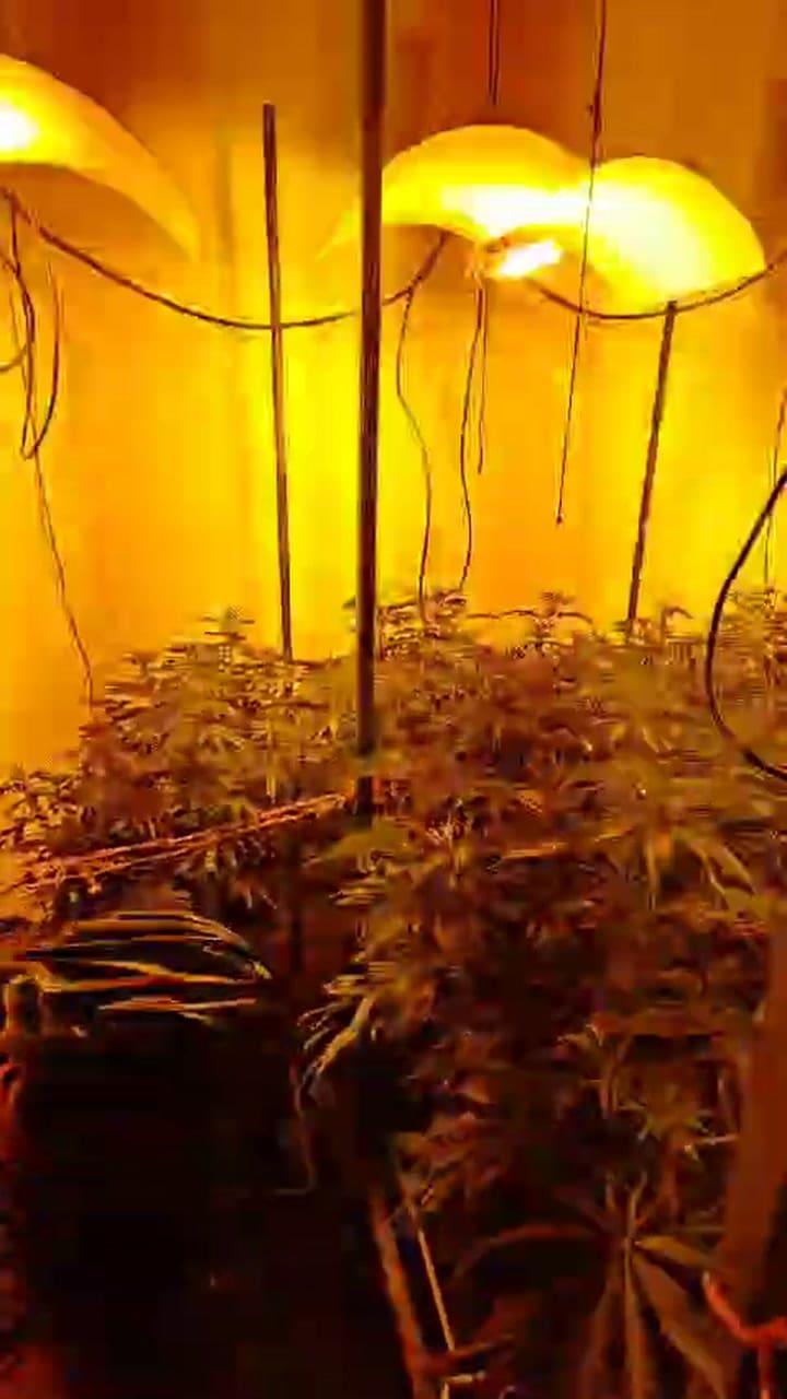 WhatsApp Video 2024-12-12 At 12.22.50 AM