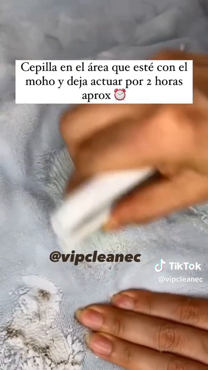 Cómo sacar el moho de la ropa