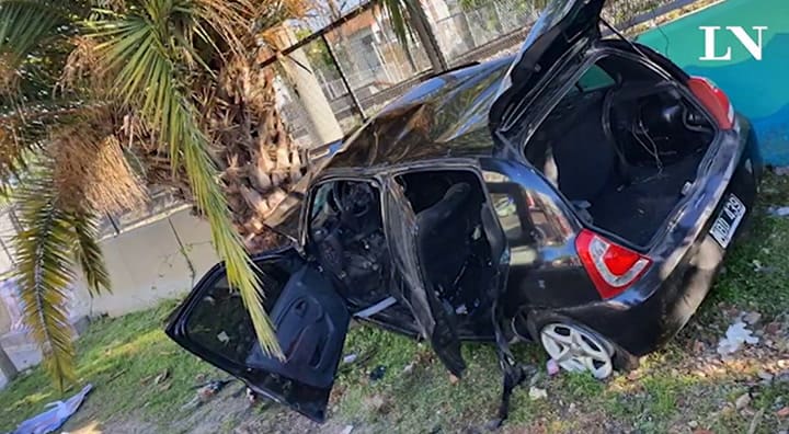 El momento en el que un auto a toda velocidad chocó con una palmera en Quilmes - Tuente: Twitter