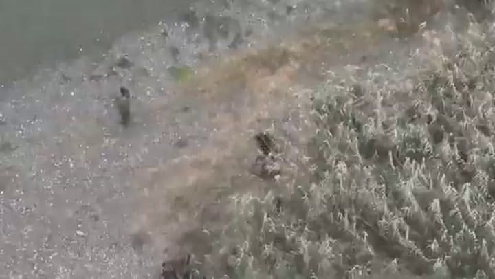 En Medio De Las Operaciones De Deportación Masiva Muestran Imágenes De Disparos En La Frontera Con México 3