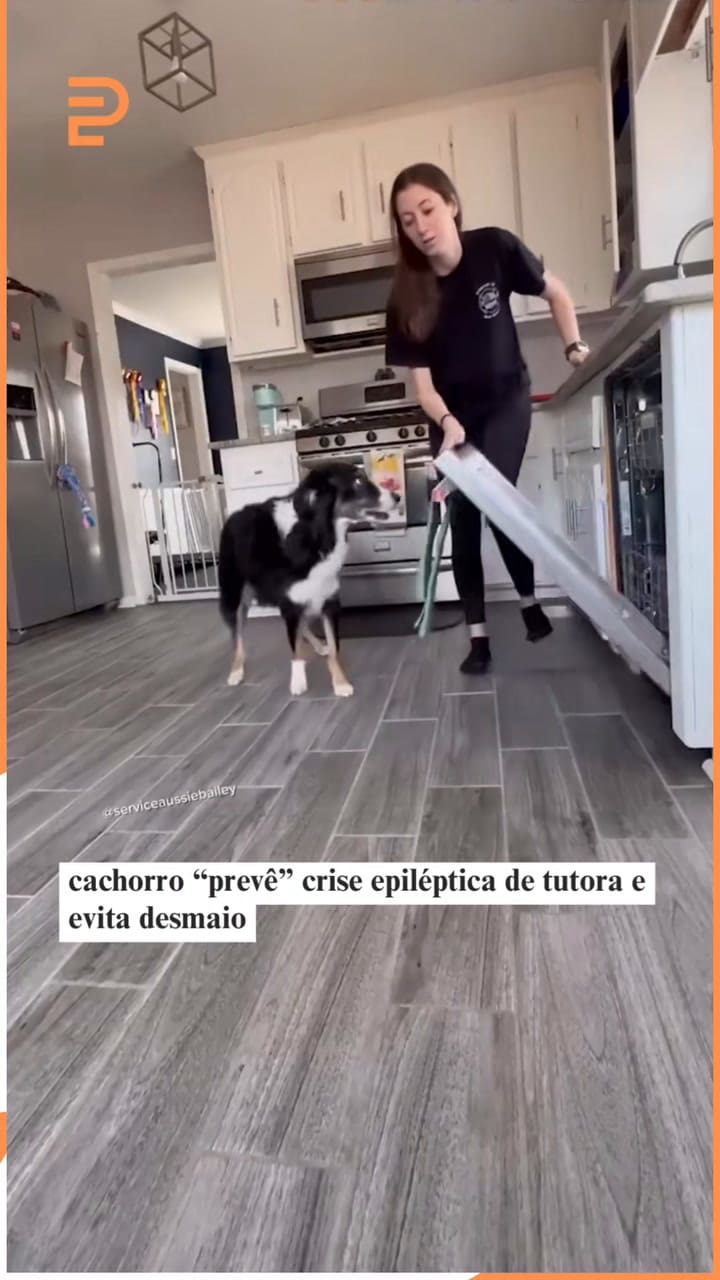 Un perro prevé crisis epiléptica de su dueña y evita un desmayo