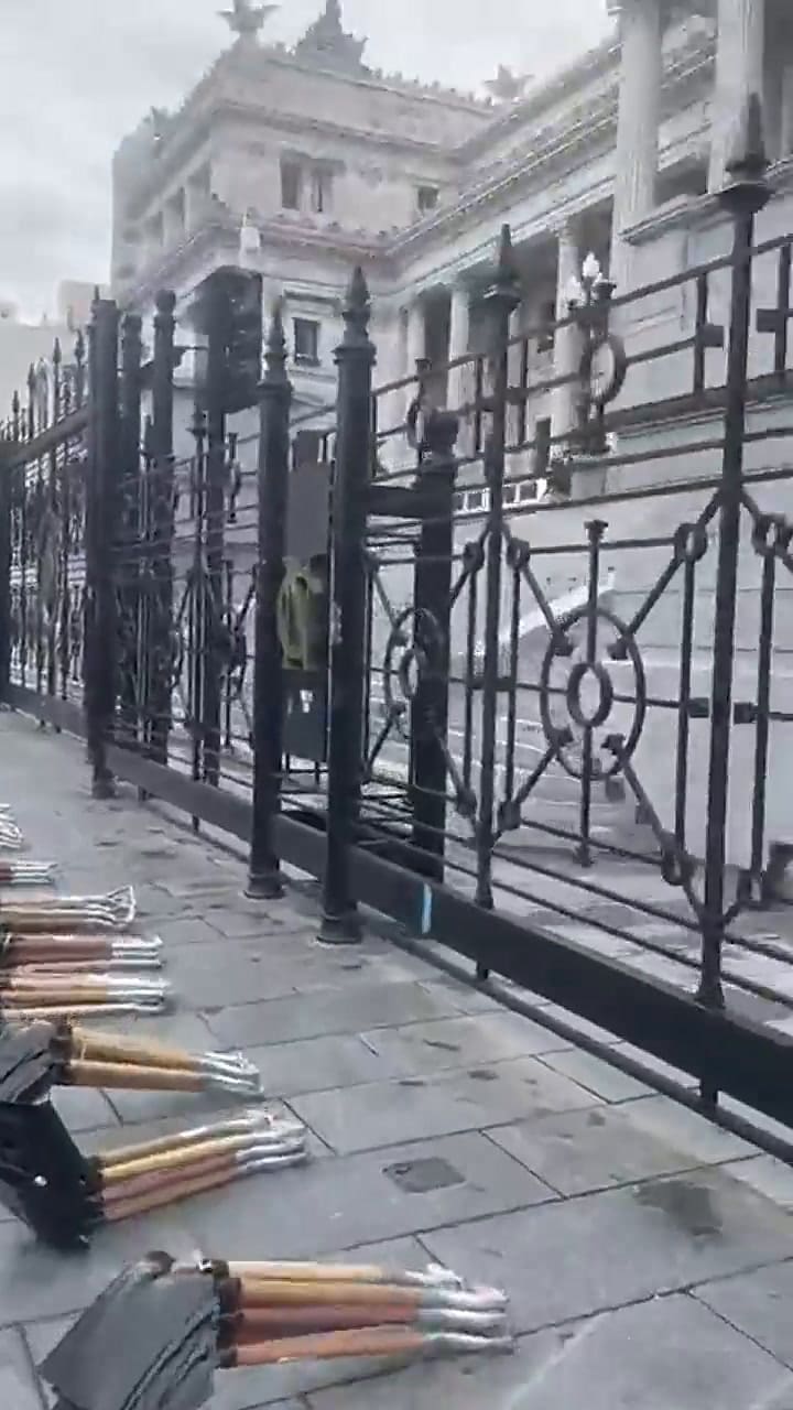 Un empresarió argentino puso 256 palas frente al Congreso