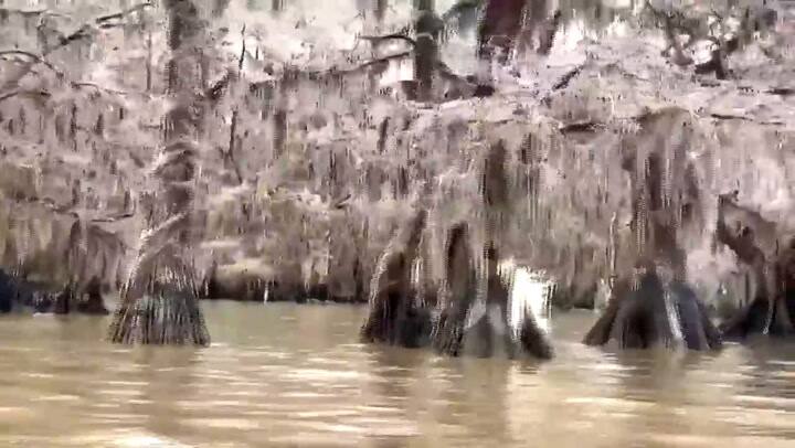 Letal tormenta de nieve golpea el noreste de EEUU - Fuente: AFP