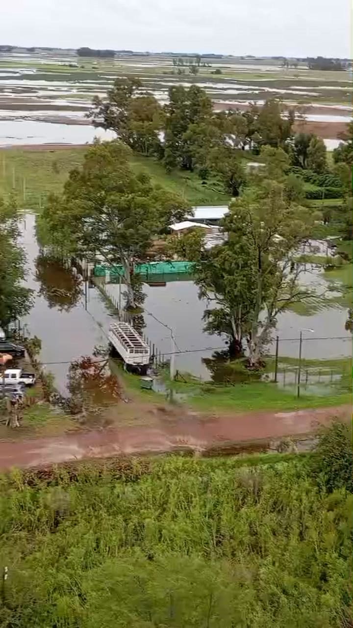 En Bolívar hay más del 50% de las hectáreas productivas bajo agua