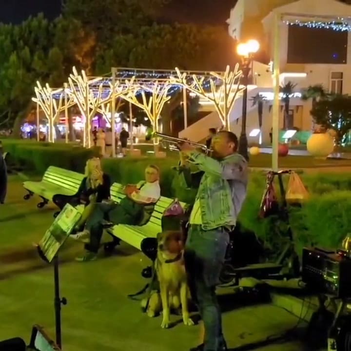 El Hachiko de Crimea merodeaba por la zona (X: @helensmail560)