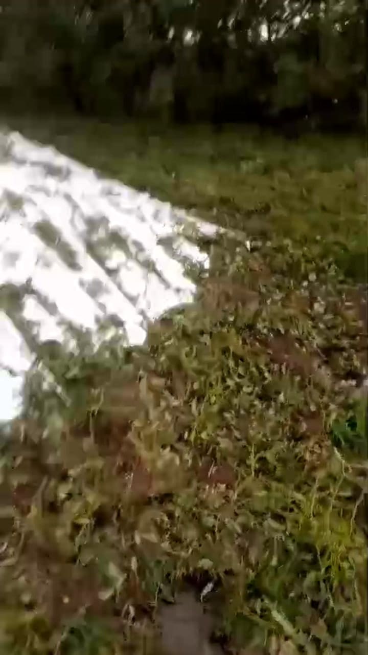 Silobolsas rotos por la piedra en General Villegas