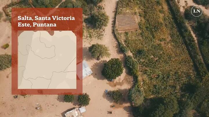 La historia de Kevin