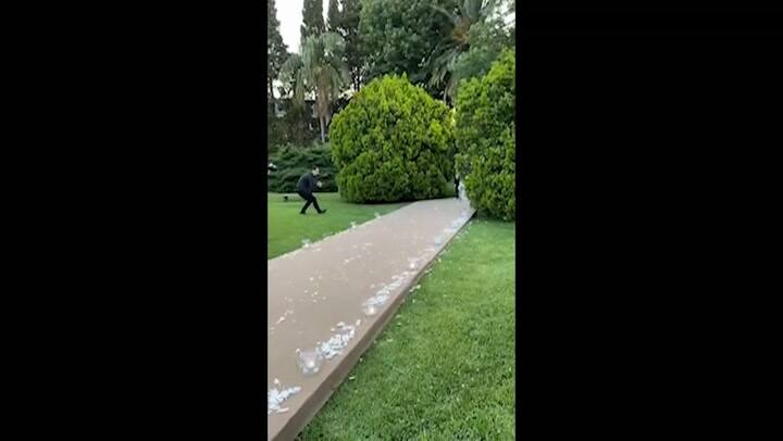 Así entraba Pampita junto a sus hijos a la ceremonia