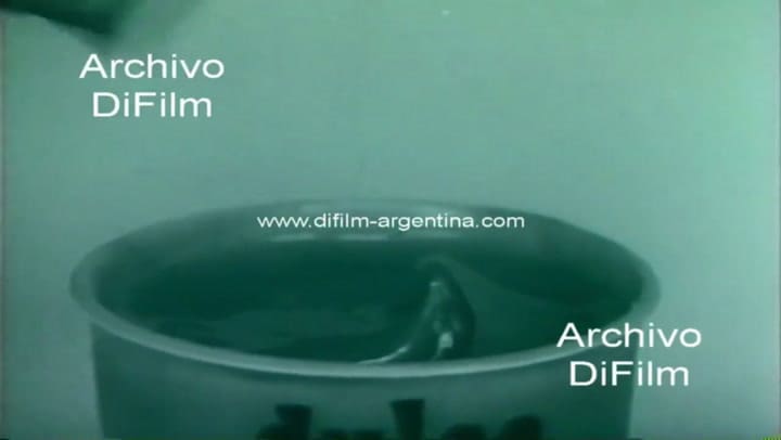 Publicidad de dulce de leche La Martona 1976 - Fuente YouTube