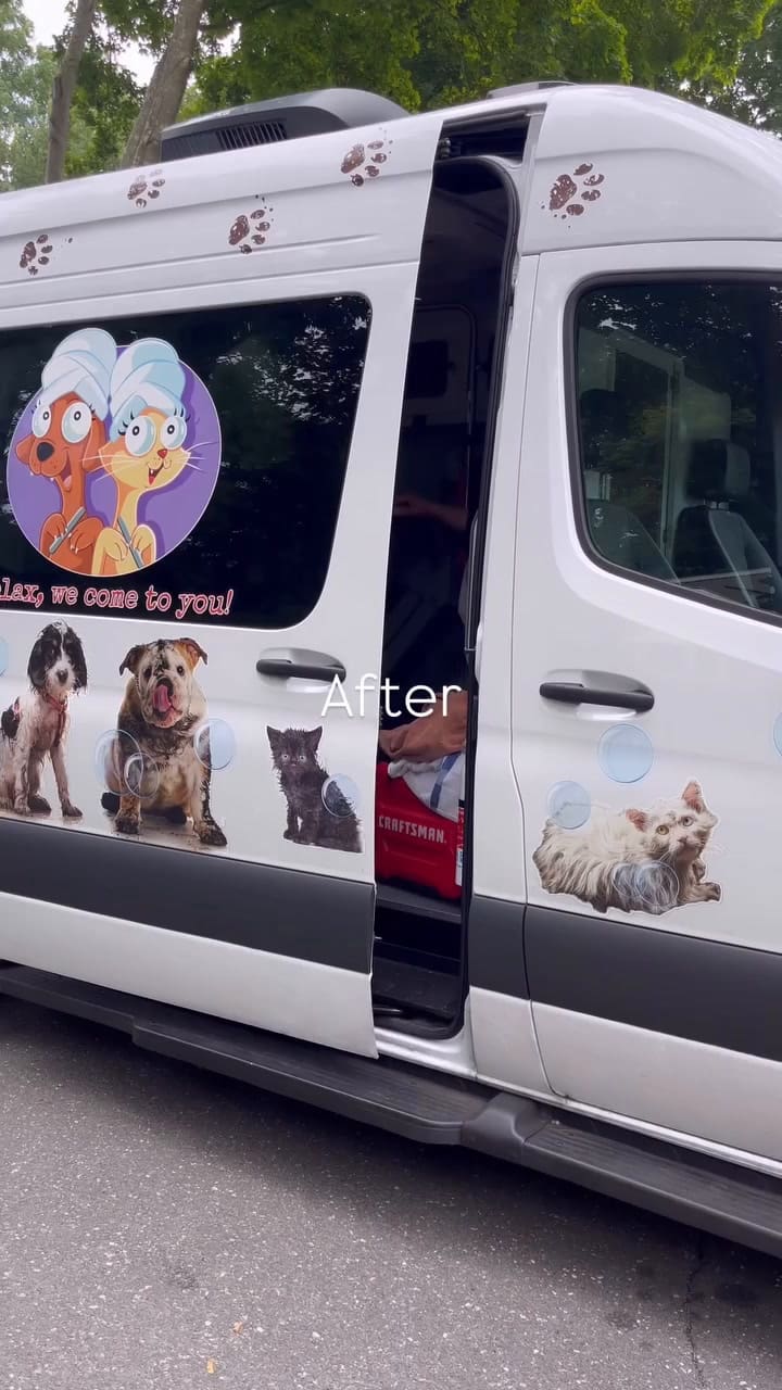 Los preparativos de Marley para la fiesta