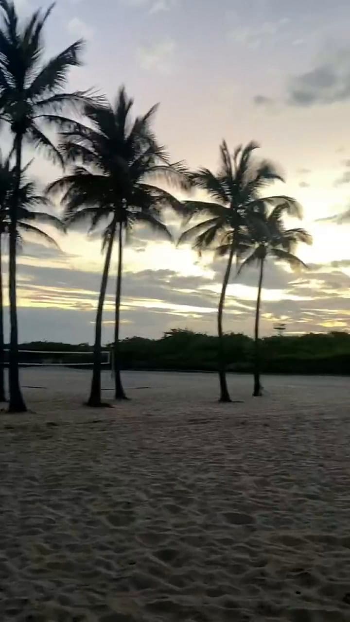 Una tiktoker expuso algunos gastos que se deben considerar si se quiere vivir en Miami