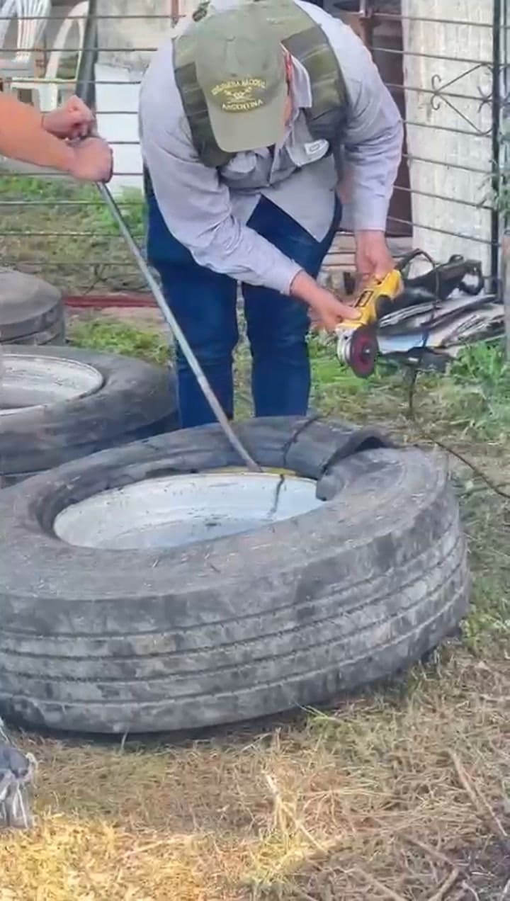 GIF Descubren 425 kilos de cocaína en cubiertas de camión en una gomería abandonada de Salta