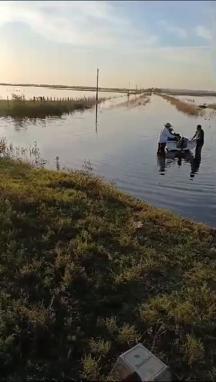 Con campos anegados, productores de Bolívar reparten alimentos en bote