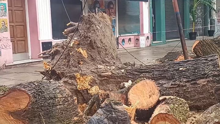 Consecuencias de la tormenta en CABA (autor: Camila Súnico)