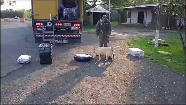 Decomisan droga en Corrientes