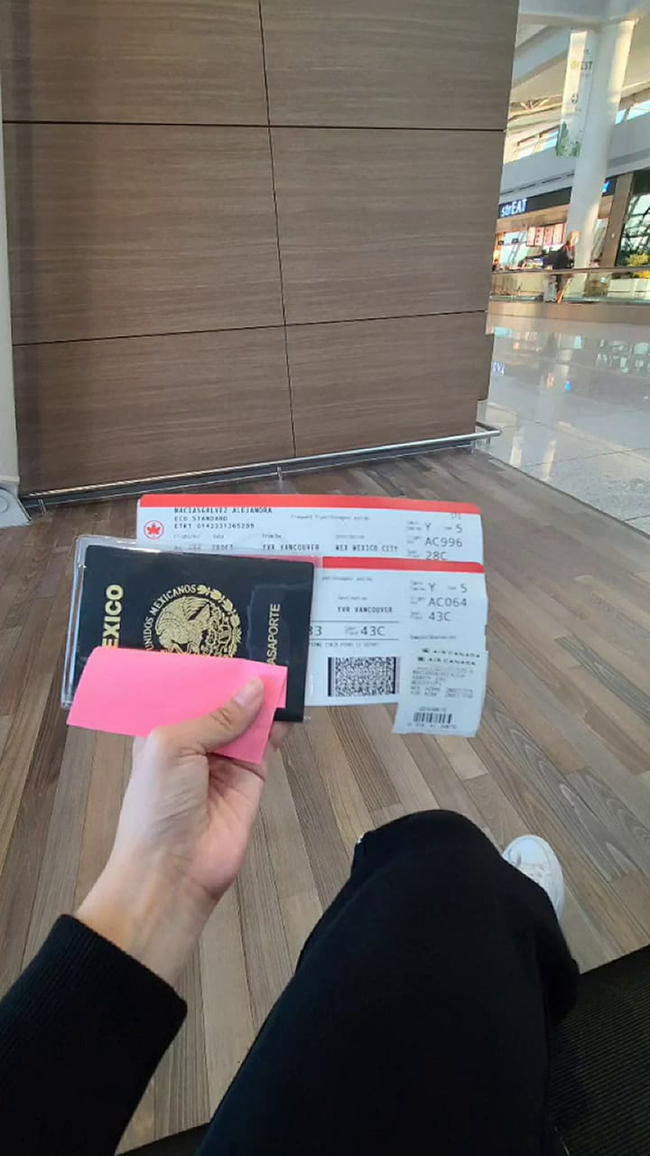 Tiktoker mexicana regresa de Corea con una idea que le salvó la vida