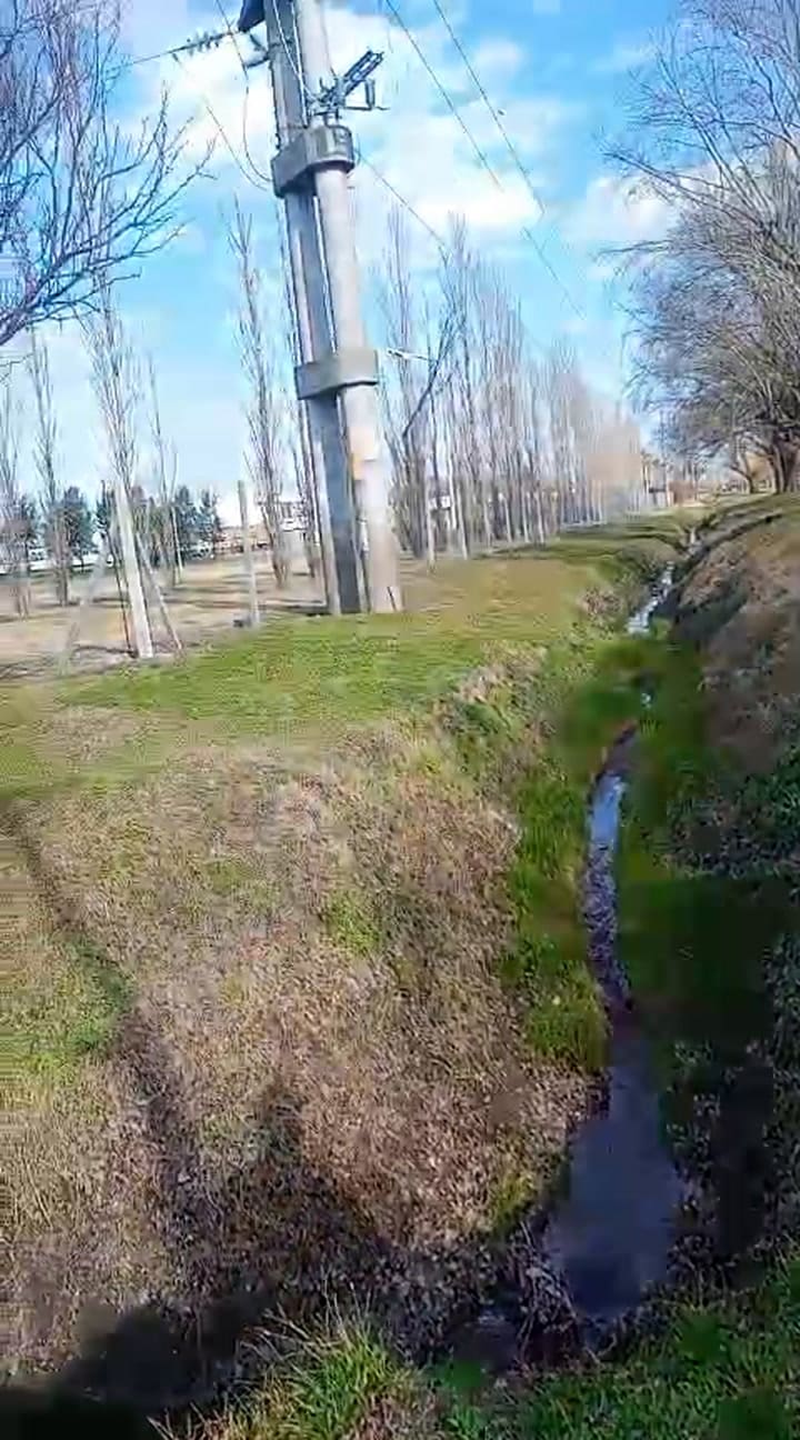 Corriente de sangre en el río Areco, a la altura de una pollería y un frigorífico