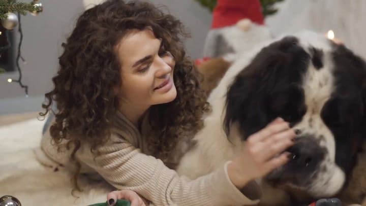 Las razas de perro más tranquilas