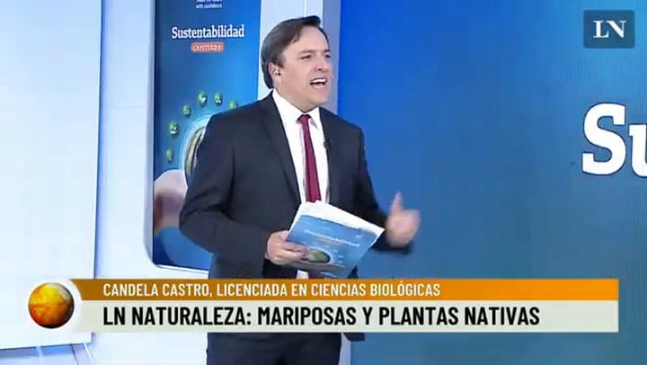 LN NATURALEZA Mariposas Y Plantas Nativas Con Candela Castro